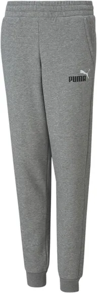 Брюки Puma ESS+ 2 Col Logo Pants FL cl B 58698803