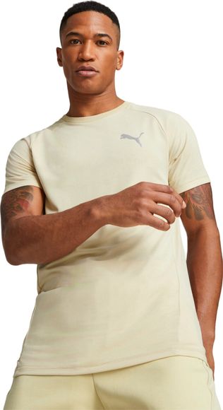 Футболка Puma EVOSTRIPE Tee 67331188