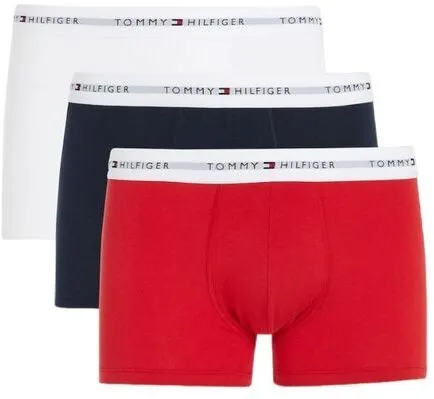 Трусы (3 шт) Tommy Hilfiger Underpants UM0UM02761-0UB