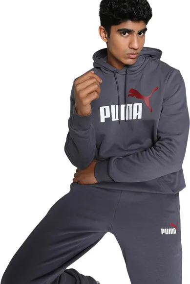 Толстовка Puma ESS+ 2 Col Big Logo Hoodie FL 58676469