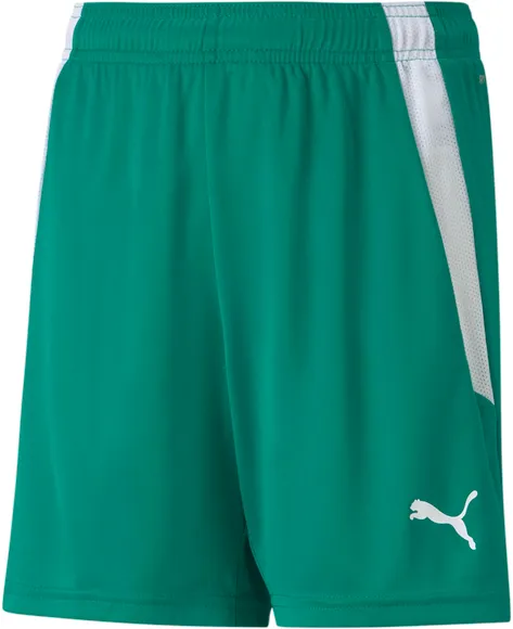 Шорты Puma teamLIGA Shorts Jr