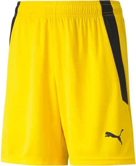 Шорты Puma teamLIGA Shorts Jr 70493107