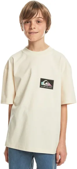 Футболка Quiksilver BACKFLASHSSYTH TEES WDW0 EQBZT04706-WDW0