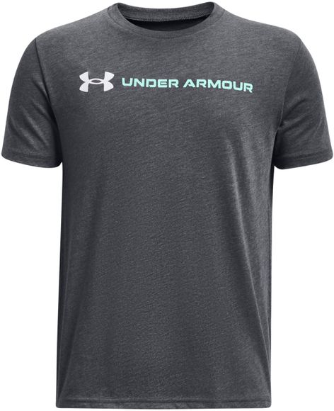 Футболка Under Armour UA TEAM ISSUE WORDMARK SS 1380747-012