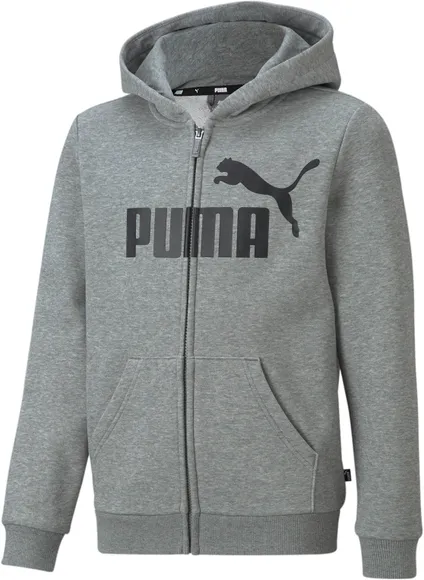 Толстовка Puma ESS Big Logo FZ Hoodie TR B 58696803