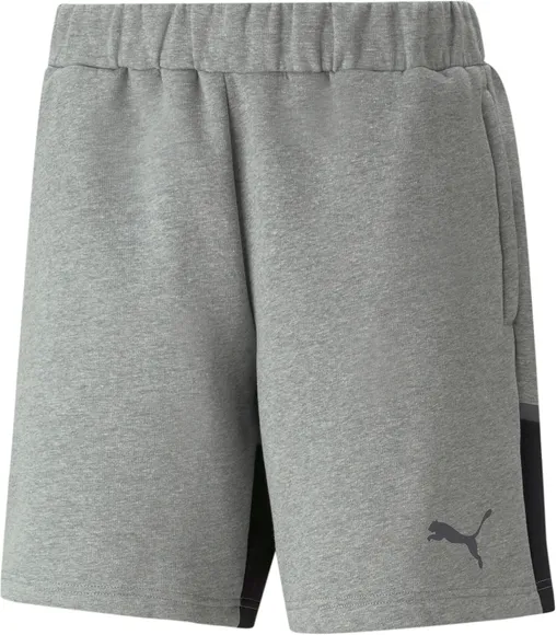 Шорты Puma teamCUP Casuals Shorts 65798913