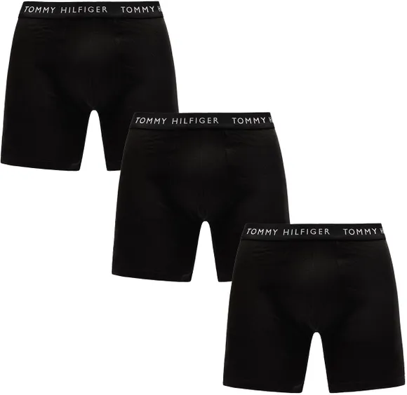 Трусы (3 шт) Tommy Hilfiger Underpants UM0UM02204-0TE