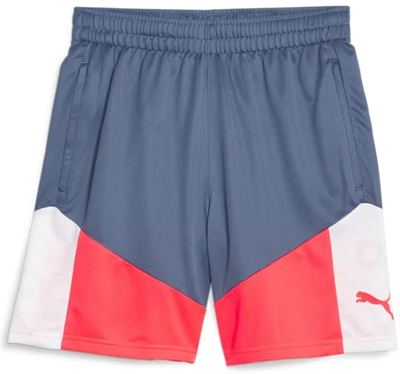 Шорты Puma individualCUP Shorts 65848553