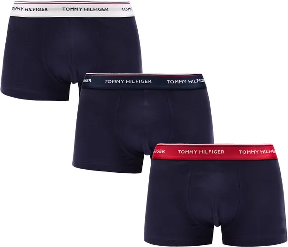 Трусы (3 шт) Tommy Hilfiger Underpants 1U87903841-904