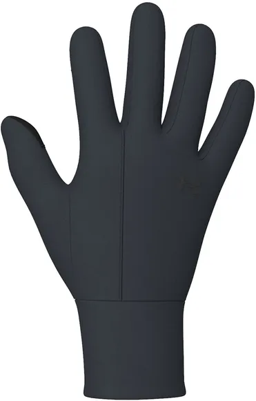 Перчатки Under Armour UA Storm Liner 1365973-001