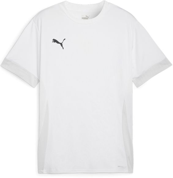 Футболка Puma teamGOAL Matchday  Jersey