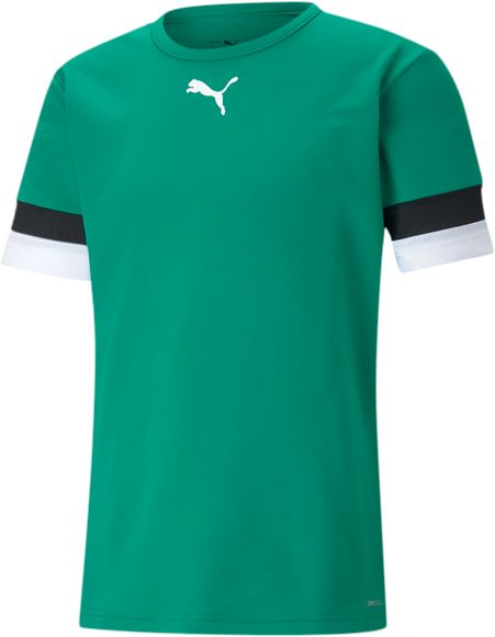 Футболка Puma teamRISE Jersey