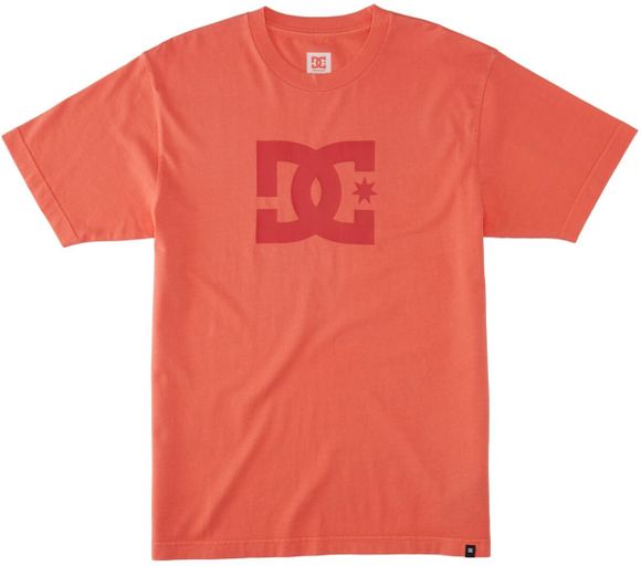 Футболка DC Shoes DCSTAR PIGMENT TEES MKZW ADYZT05374-MKZW