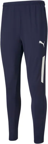 Брюки Puma teamLIGA Training Pants Pro 65733206