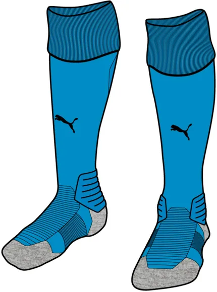 Гетры Puma Team LIGA Socks 70343849