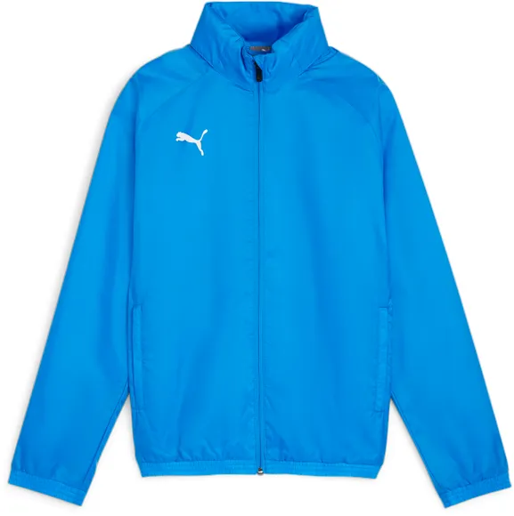 Олимпийка Puma teamGOAL Allweather Jkt Jr