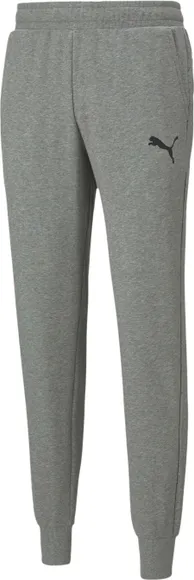 Брюки Puma ESS Logo Pants TR cl 58671653