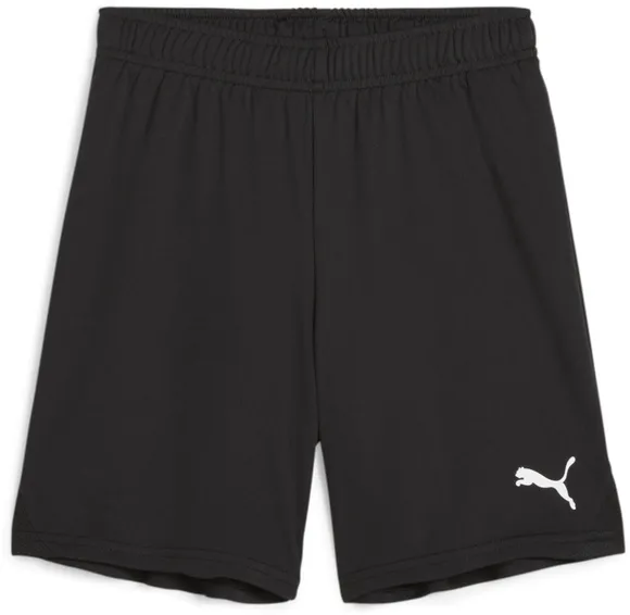 Шорты Puma teamGOAL Shorts Jr 70575303