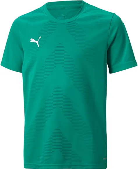 Футболка Puma teamGLORY Jersey Jr