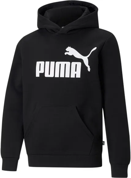 Толстовка Puma ESS Big Logo Hoodie FL B 58696501