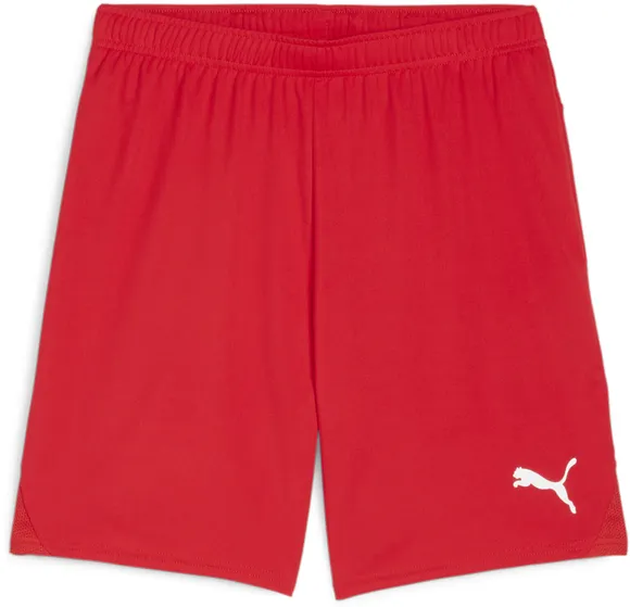 Шорты Puma teamGOAL Shorts 70575201