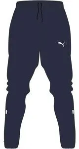 Брюки Puma IndividualRise Pant 65947606