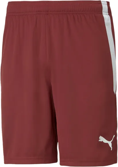 Шорты Puma teamLIGA Shorts 70492409