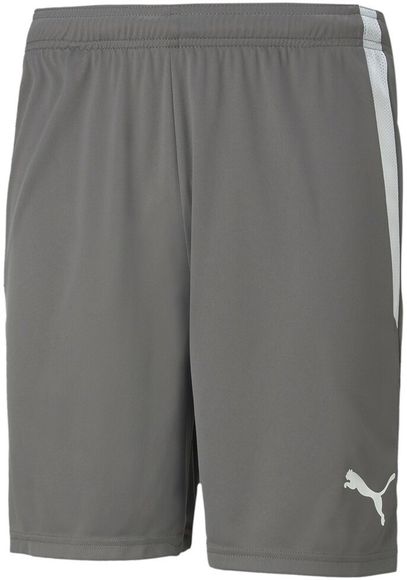 Шорты Puma teamLIGA Shorts 70492413