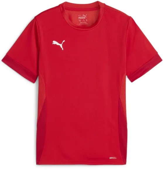 Футболка Puma teamGOAL Matchday Jersey jr