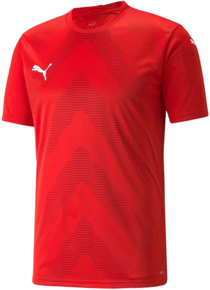 Футболка Puma teamGLORY Jersey