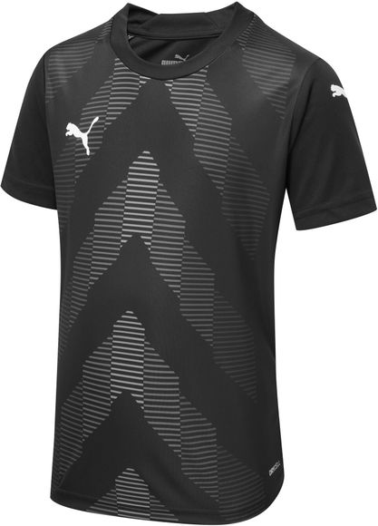 Футболка Puma teamGLORY Jersey Jr 70530903