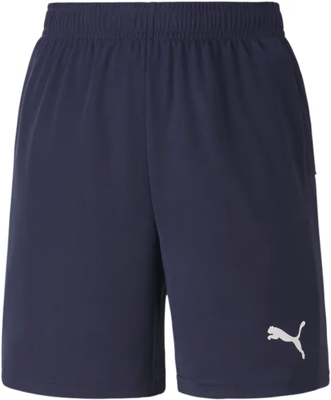 Шорты Puma teamGOAL 23 knit Shorts jr