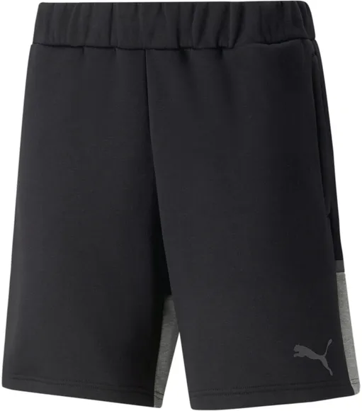 Шорты Puma teamCUP Casuals Shorts 65798903