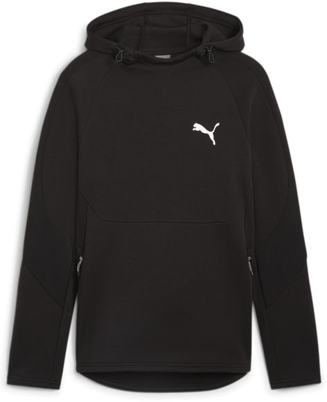 Толстовка Puma EVOSTRIPE Hoodie DK 67899401