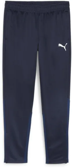 Брюки Puma teamGOAL Training Pant 65863906