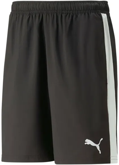 Шорты Puma teamLIGA Multisport Shorts 65839303