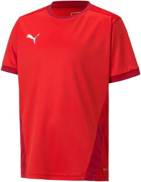 Футболка Puma teamGOAL 23 Jersey jr 70416001