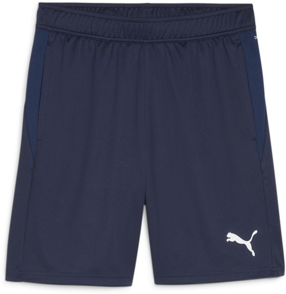 Шорты Puma teamGOAL Training Short 65864306