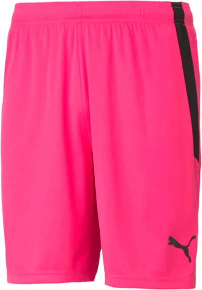 Шорты Puma teamLIGA Shorts 70492425