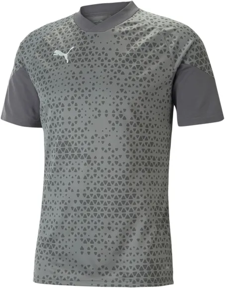 Футболка Puma teamCUP Training Jersey