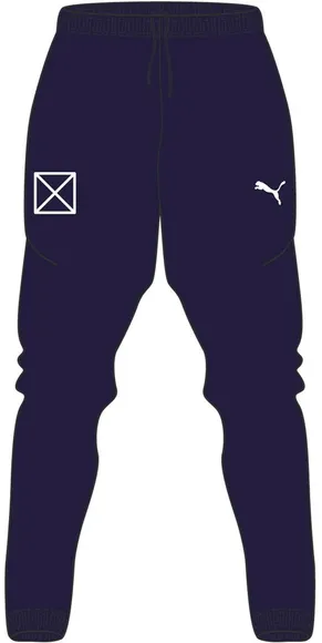 Брюки Puma teamRISE Poly Training Pants Jr 65739106