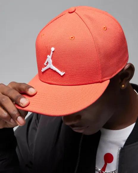 Бейсболка Nike Air Jordan Pro Cap S FB Jumpman FV5296-604