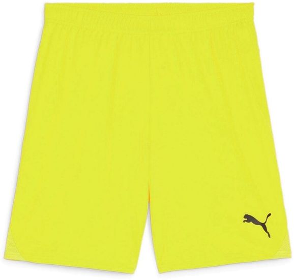 Шорты Puma teamGOAL Shorts 70575223