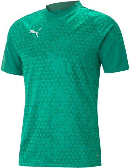 Футболка Puma teamCUP Training Jersey