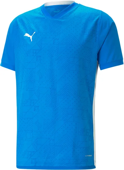 Футболка Puma teamCUP Jersey