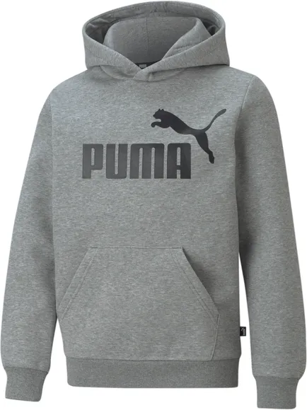 Толстовка Puma ESS Big Logo Hoodie FL B 58696503