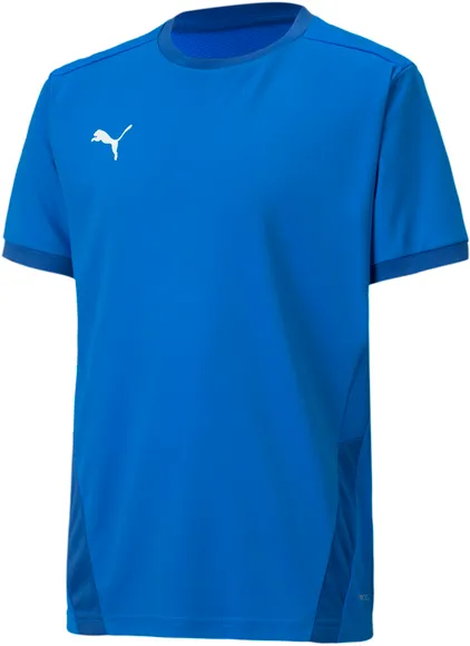 Футболка Puma teamGOAL 23 Jersey jr 70416002