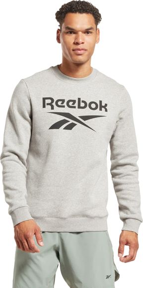 Толстовка Reebok RI BIG STACKED LOGO CREW 100050273