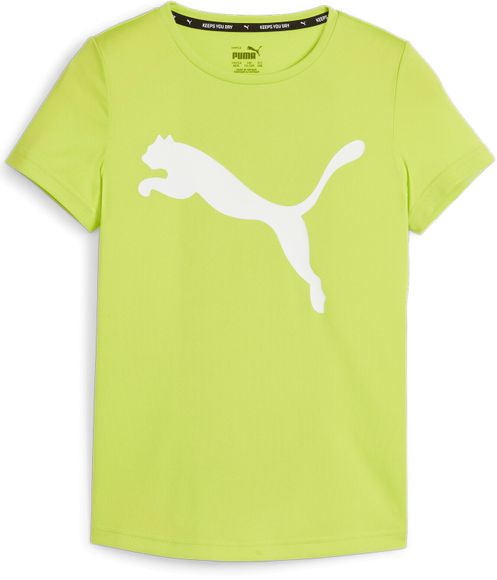 Футболка Puma ACTIVE Tee G