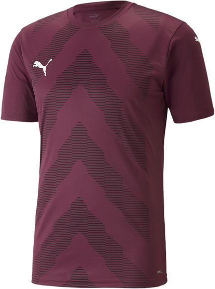 Футболка Puma teamGLORY Jersey 70501724